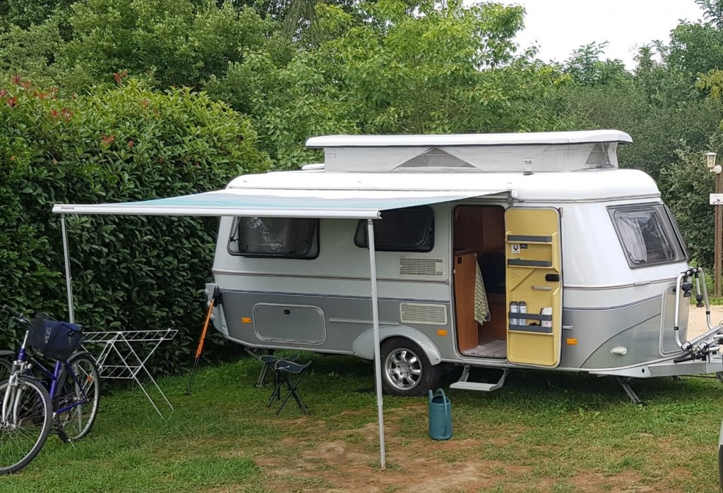 20210808_181714.jpg (392.53 Kio) Vu 6682 fois Titine face 1