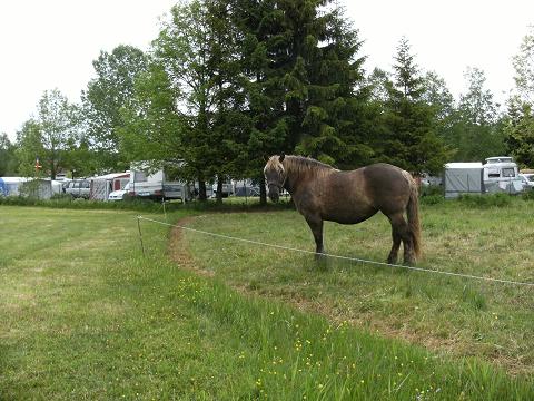 tracteur ecolo  pour eriba.jpg