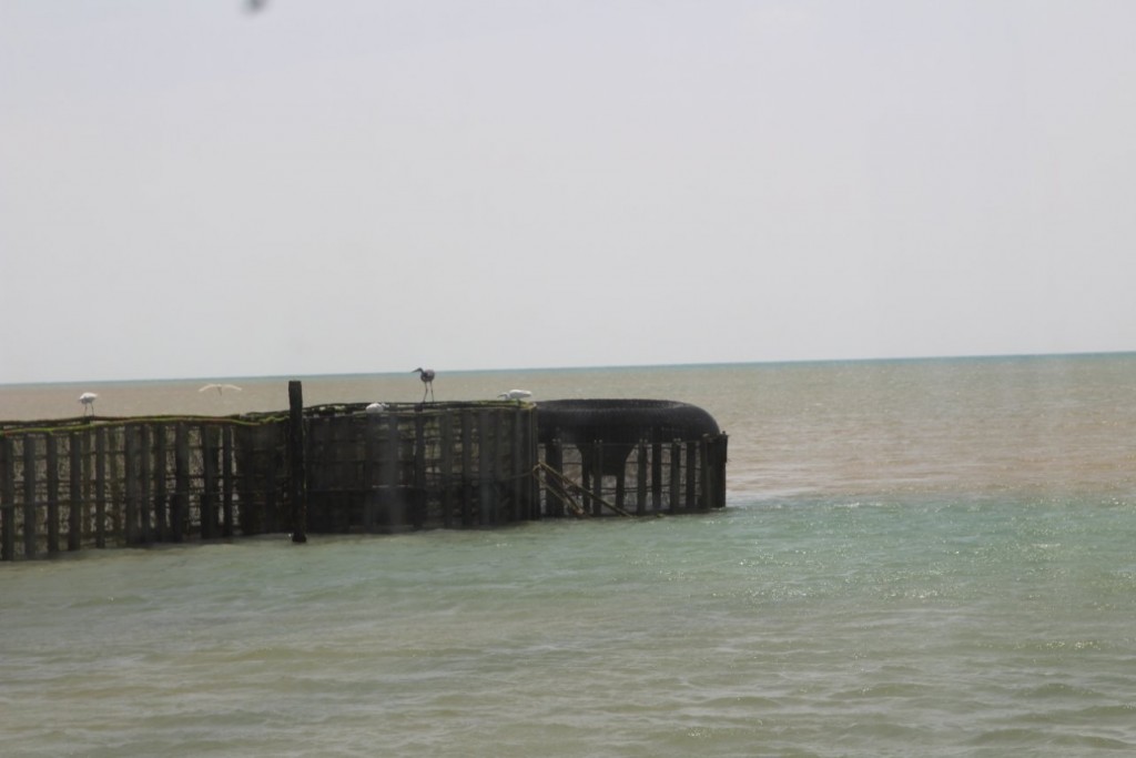 IMG_4249.JPG
