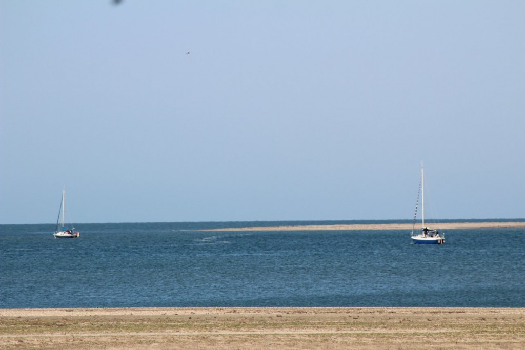 IMG_4343.JPG
