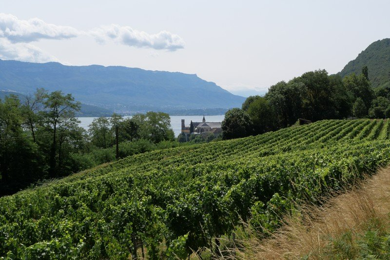 abbaye d'Hautecombe 1.JPG