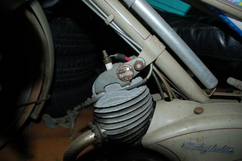 DSC_4916.JPG
