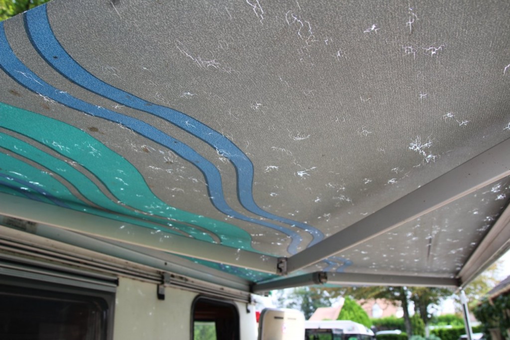 Nouvelle aération du store.