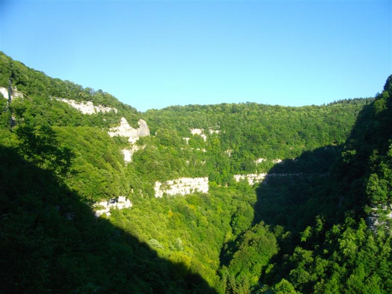 66 la loue au pieds des arbres.JPG