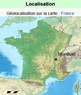 Montluel carte.jpg