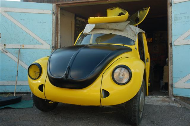 DSC_0379 (Small).JPG