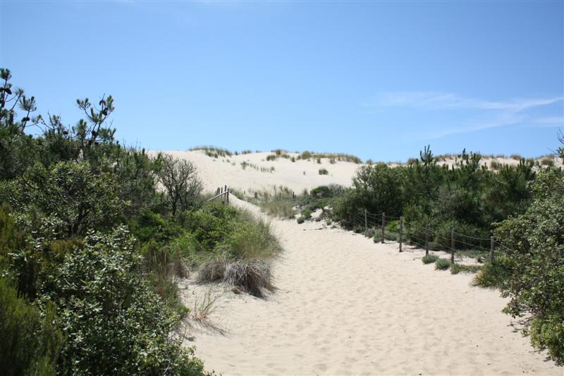 IMG_1088 (Medium).JPG