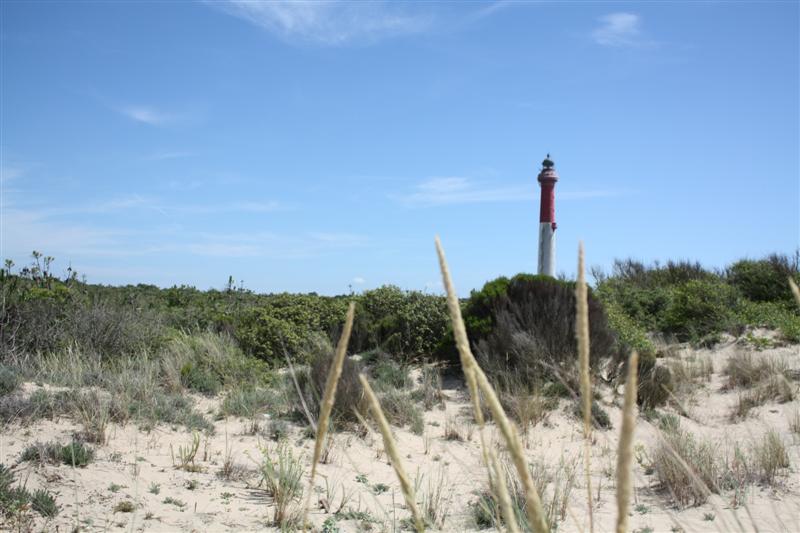 IMG_1089 (Medium).JPG