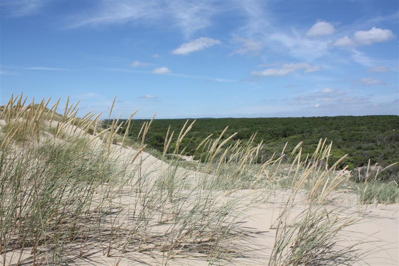 IMG_1091 (Medium).JPG