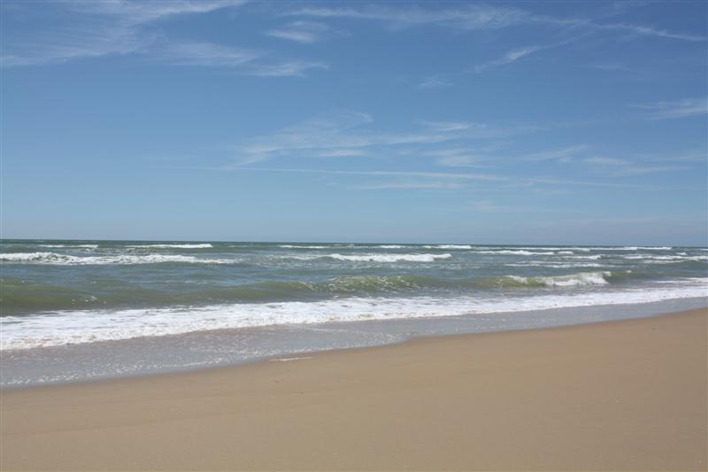 IMG_1093 (Medium).JPG