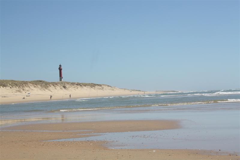 IMG_1095 (Medium).JPG