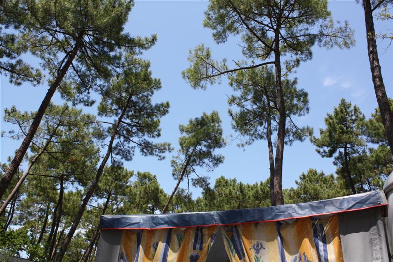 IMG_1104 (Medium).JPG