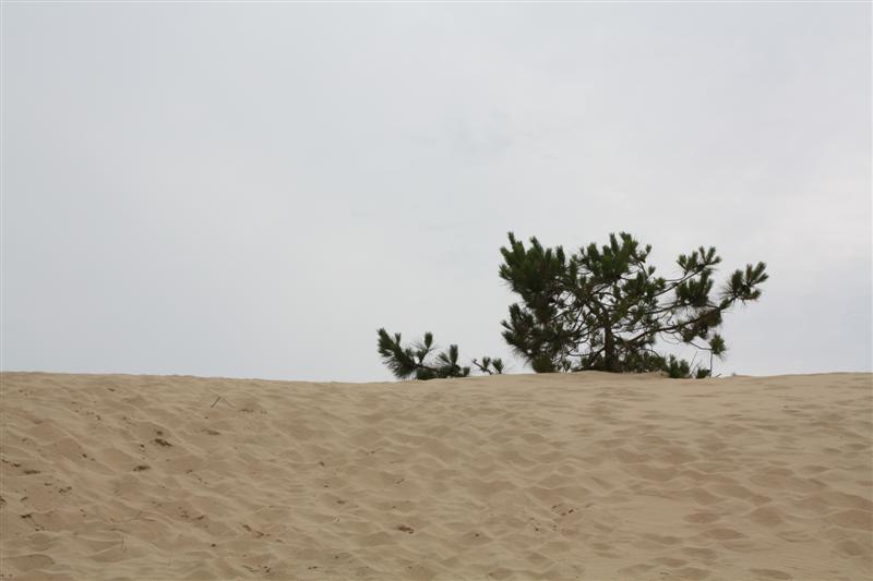 IMG_1125 (Medium).JPG