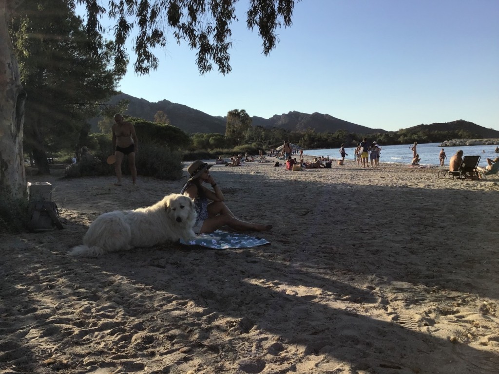 IMG_0285.jpeg