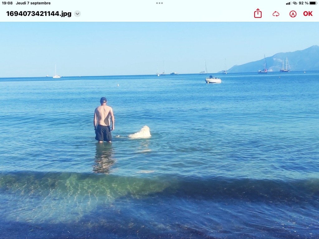 IMG_0283.jpeg