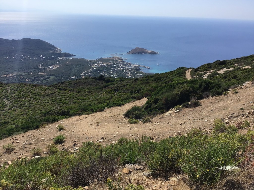 IMG_0301.jpeg