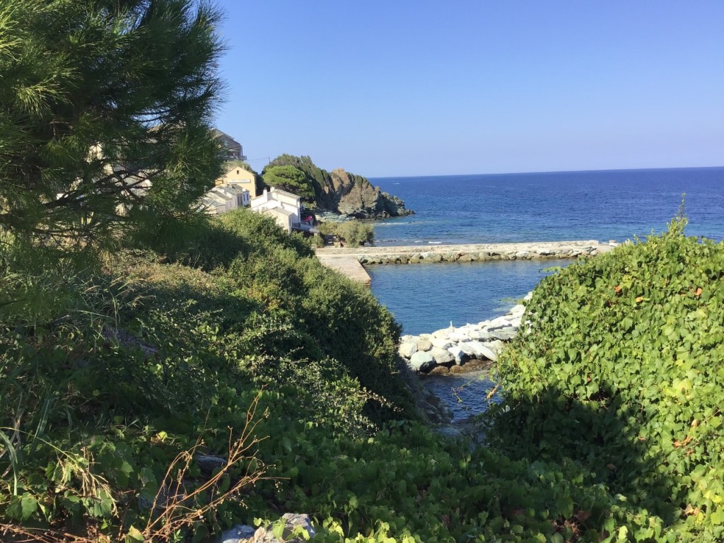 IMG_0298.jpeg