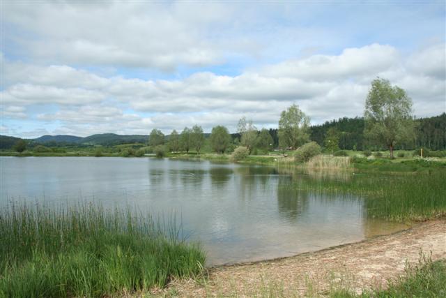 IMG_6601 (Small).JPG