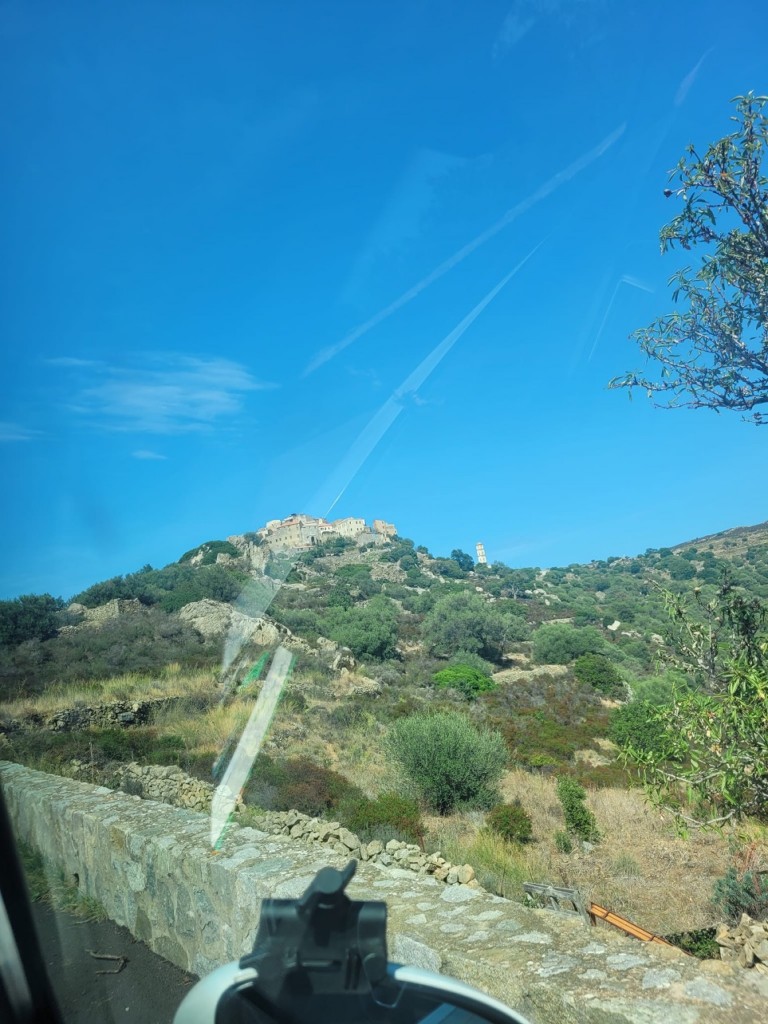 IMG_0350.jpeg