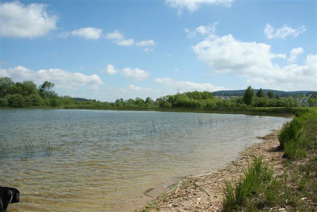 IMG_6649 (Small).JPG