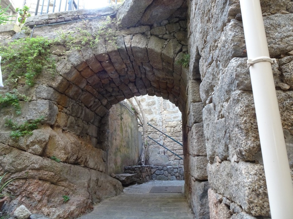 DSC03852.JPG