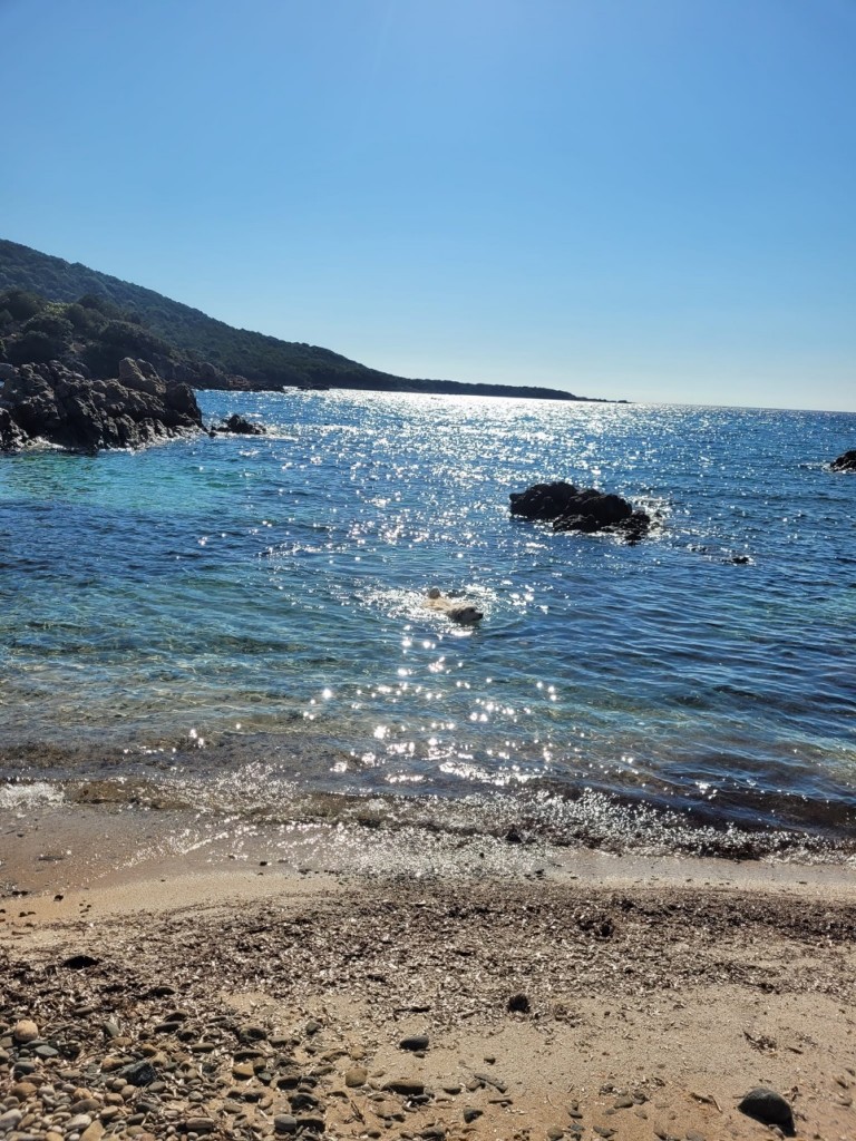 IMG_0436.jpeg
