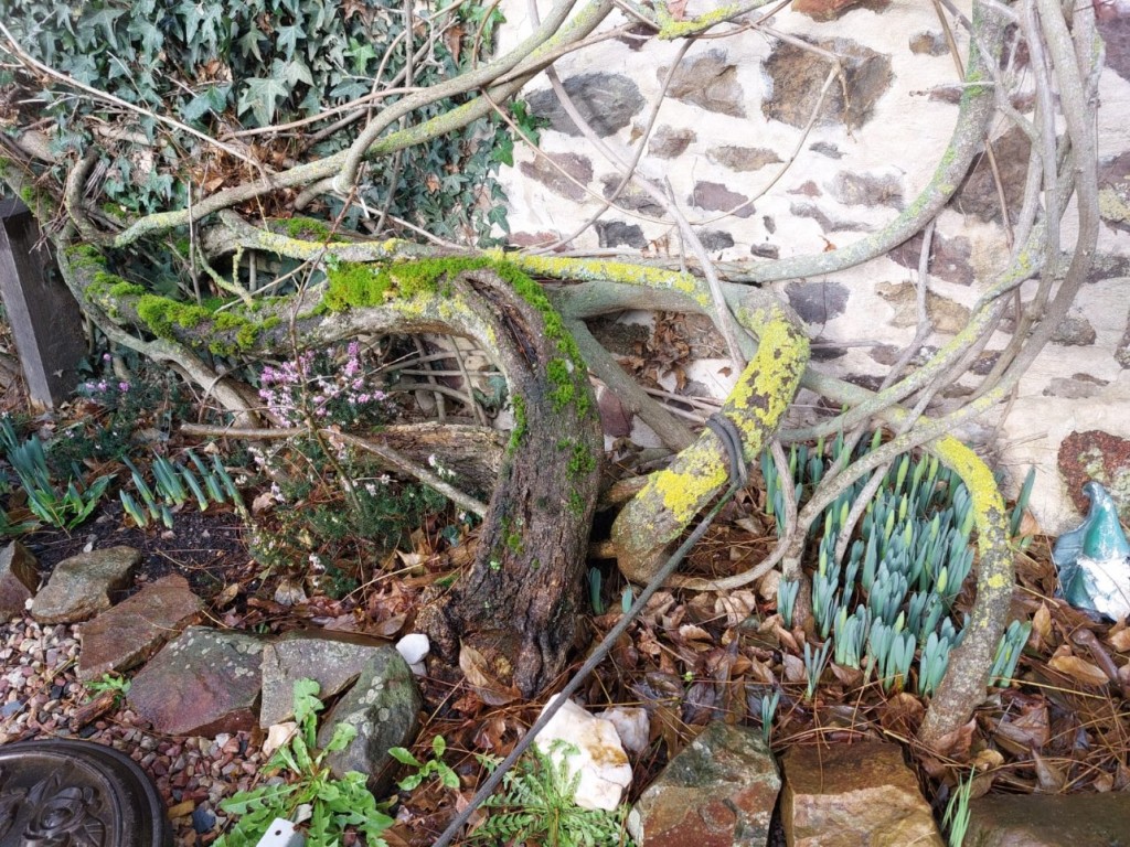 WhatsApp Image 2024-01-07 à 14.24.03_cfae1b6d.jpg