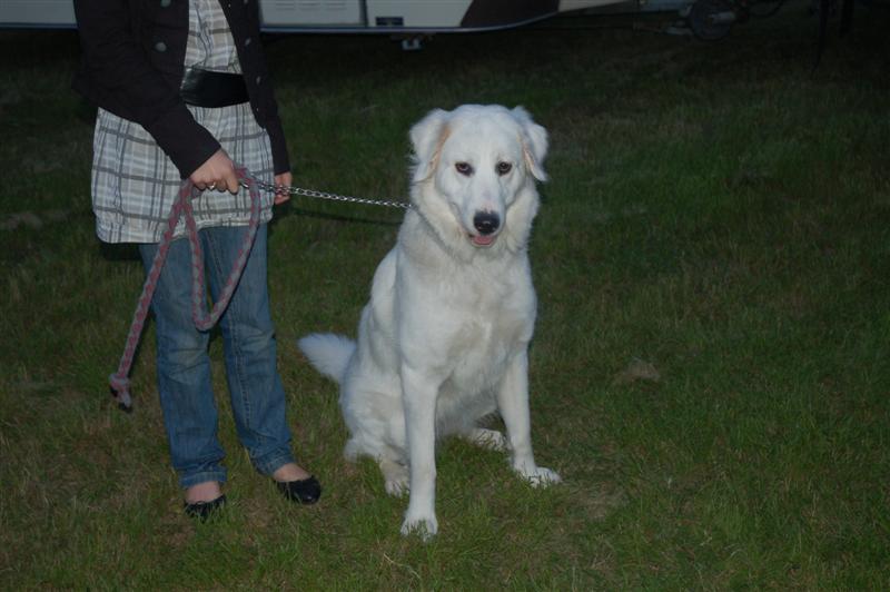 DSC_0420 (Medium).JPG