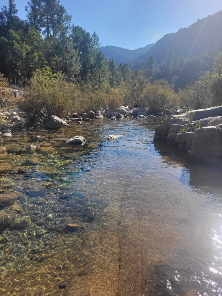IMG_0547.jpeg