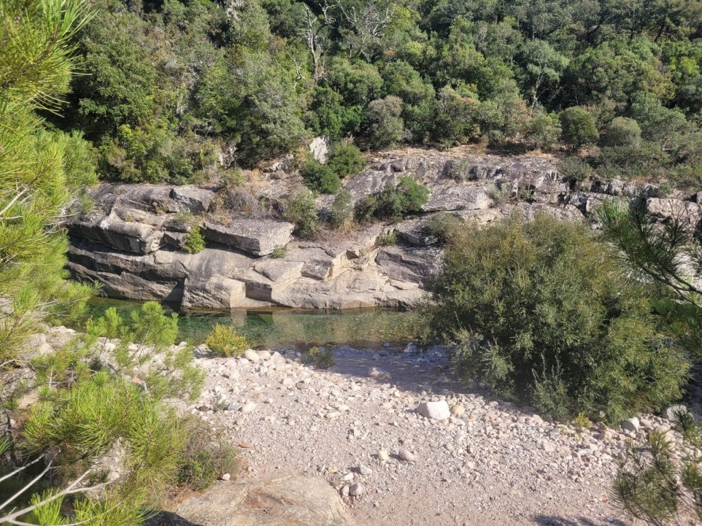 IMG_0544.jpeg