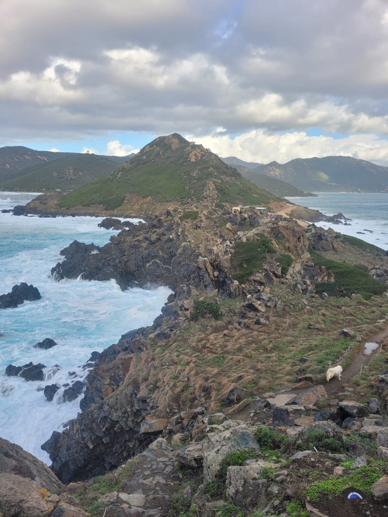 IMG_0606.jpeg