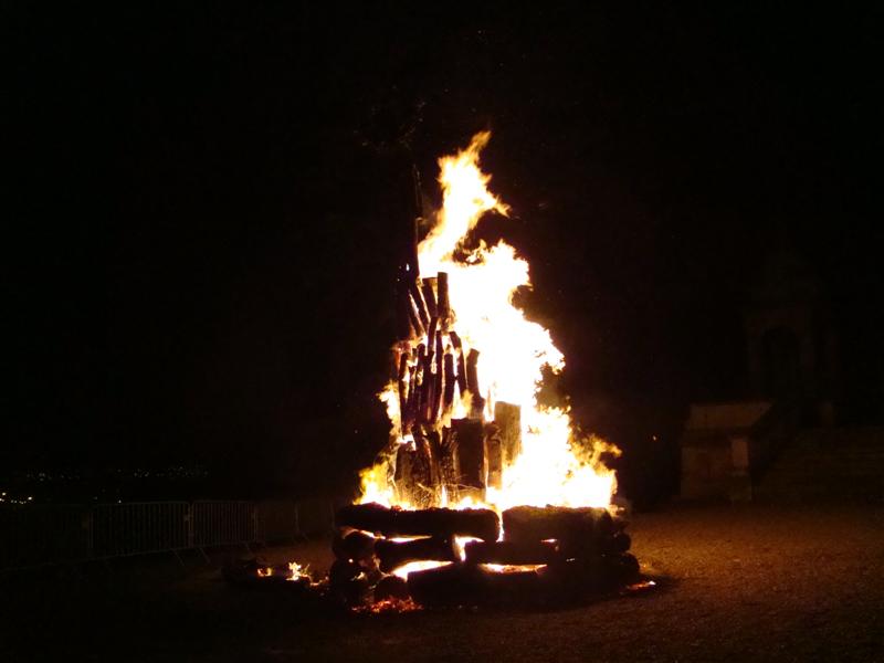 DSC05181 (Medium).JPG