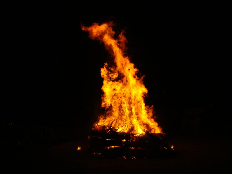 DSC05154 (Medium).JPG