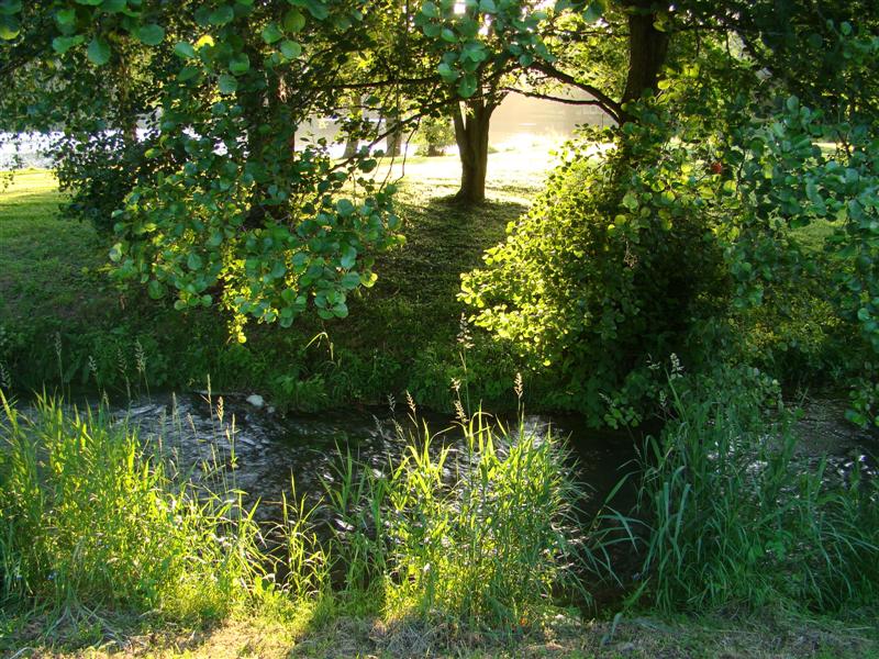 Devant notre emplacement