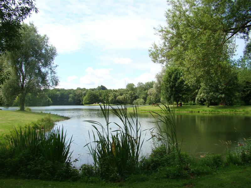 DSC02309 (Medium).JPG