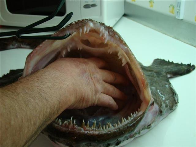 Qu'est ce qu'elle a ma gueule