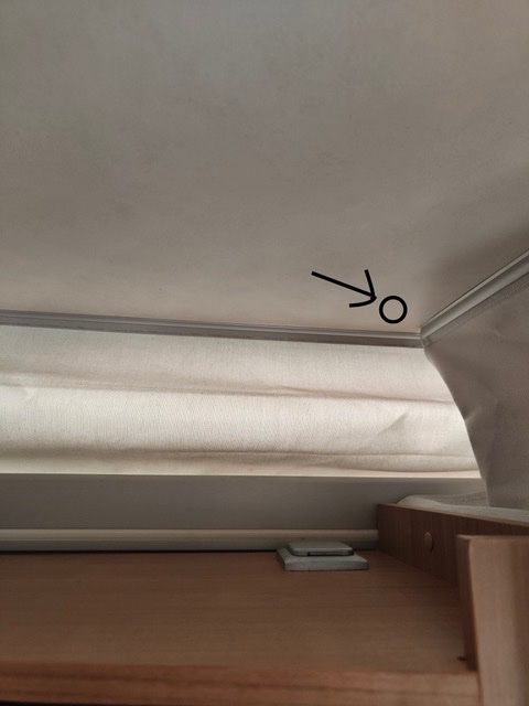 IMG20240512162944.jpeg
