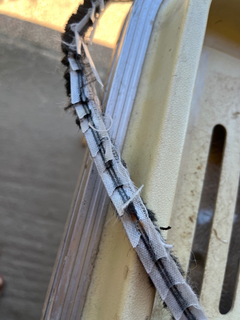 Le joint qui est bien cuit