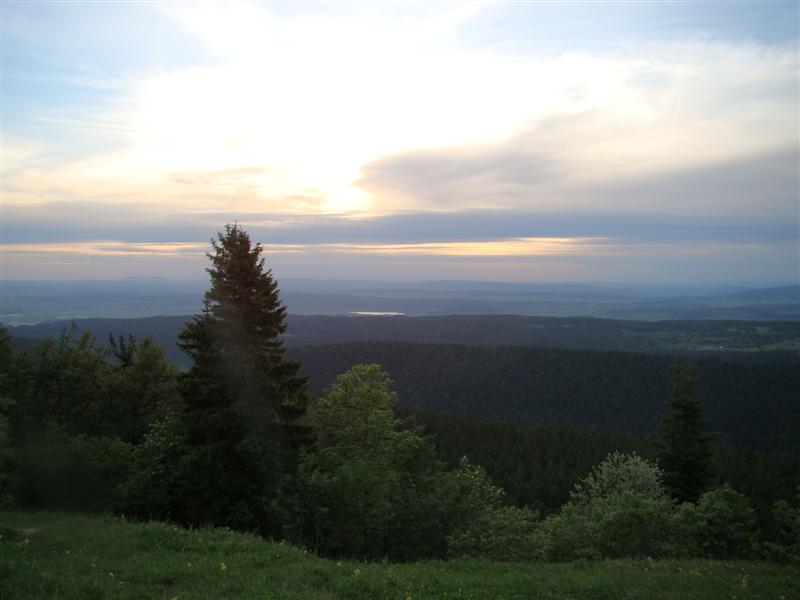 DSC01387 (Medium).JPG