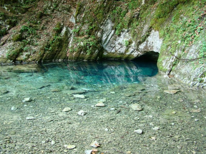 DSC01988 (Medium).JPG