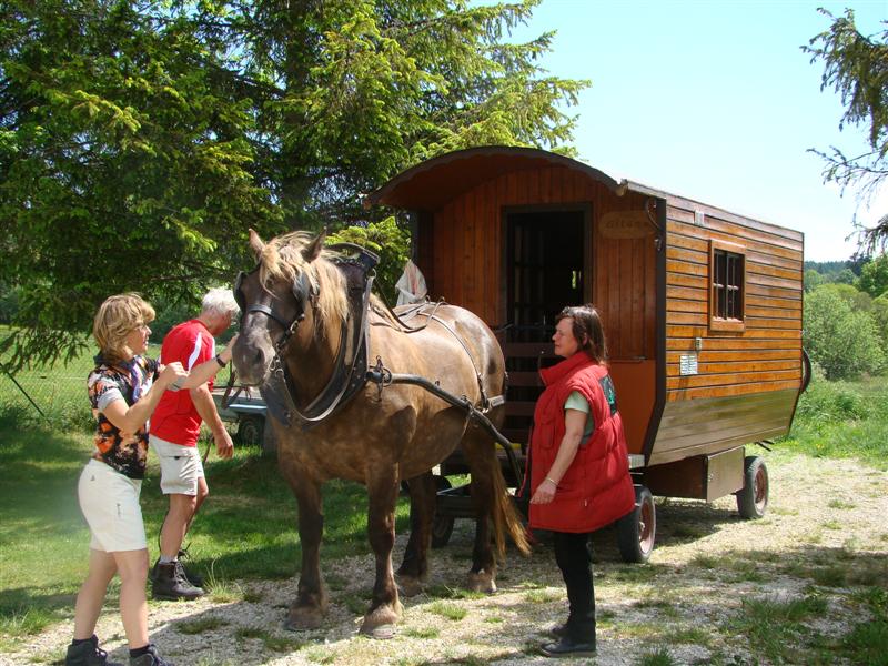 DSC01681 (Medium).JPG