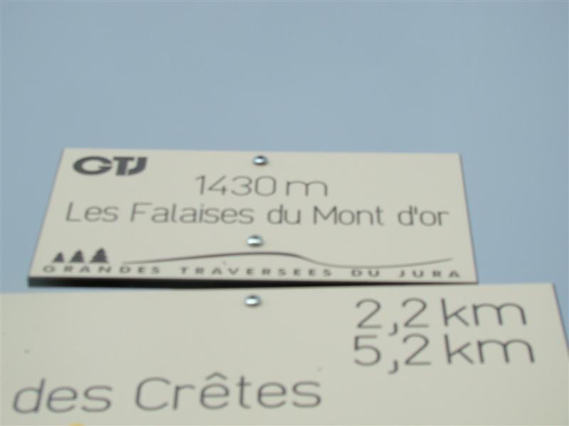 DSC01738 (Medium).JPG