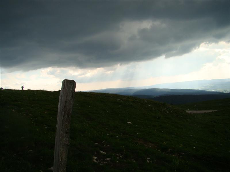 DSC01741 (Medium).JPG