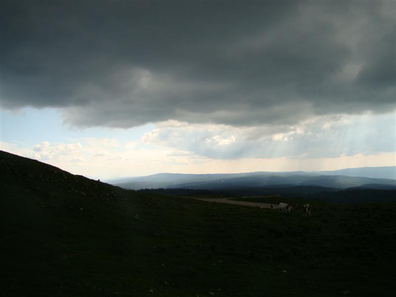 DSC01736 (Medium).JPG