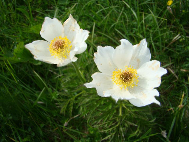 DSC01771 (Medium).JPG