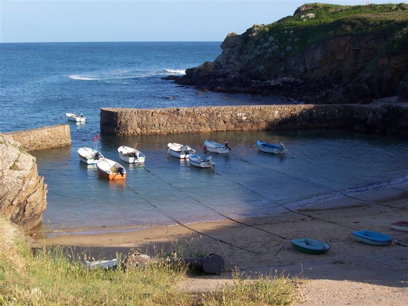 100_1639 (Medium).JPG