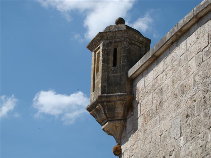DSC01899 (Medium).JPG