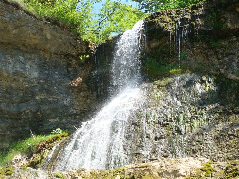 DSC02029 (Medium).JPG