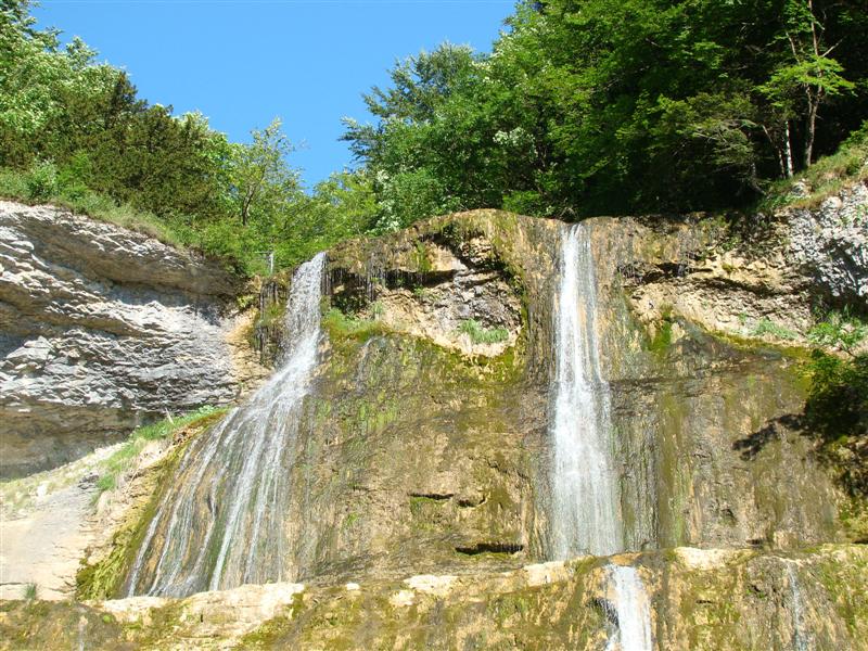 DSC02079 (Medium).JPG