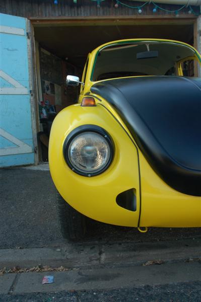 DSC_0470 (Medium).JPG